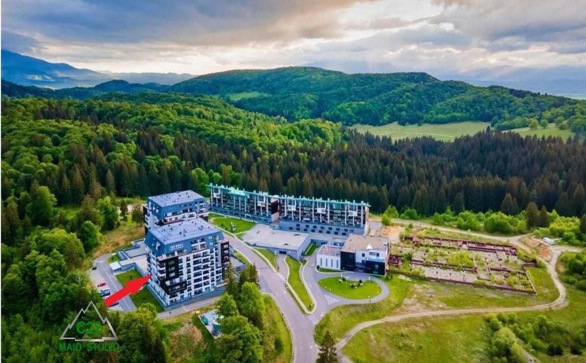Maio Studio Silver Mountain Пояна-Брашов Экстерьер фото